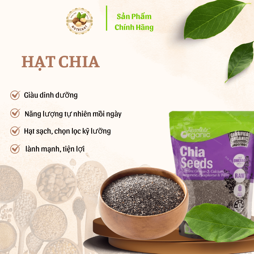 khung sp (2) hạt chia